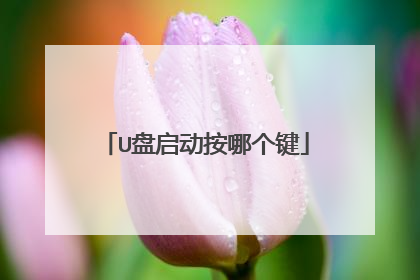 U盘启动按哪个键