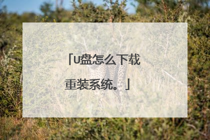 U盘怎么下载重装系统。