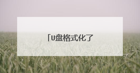 U盘格式化了怎么恢复?