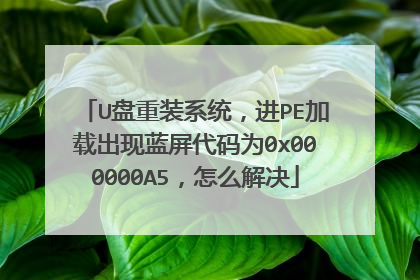 U盘重装系统,进PE加载出现蓝屏代码为0x000000A5,怎么解决