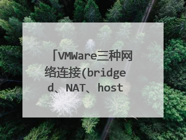 VMWare三种网络连接(bridged、NAT、host-only)哪种在安全方面最好?