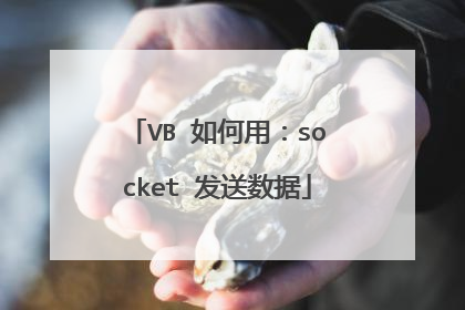 VB 如何用：socket 发送数据