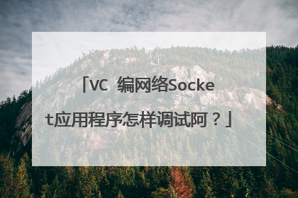 VC 编网络Socket应用程序怎样调试阿？