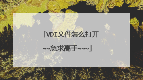 VDI文件怎么打开~~急求高手~~~