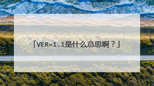 VER=1.1是什么意思啊?
