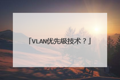 VLAN优先级技术？