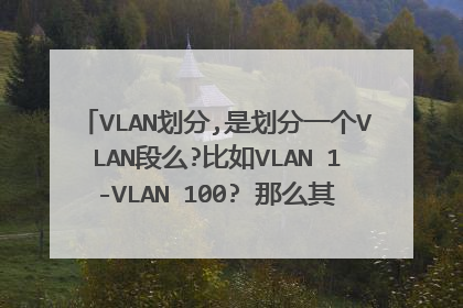 VLAN划分,是划分一个VLAN段么?比如VLAN 1-VLAN 100? 那么其中的VLAN2,3,4,5,...都代表什么意思啊?