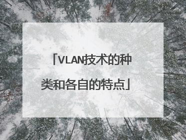 VLAN技术的种类和各自的特点