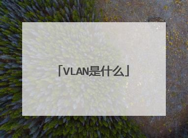 VLAN是什么