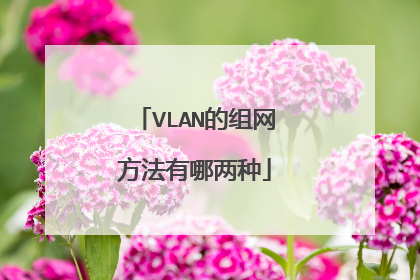 VLAN的组网方法有哪两种