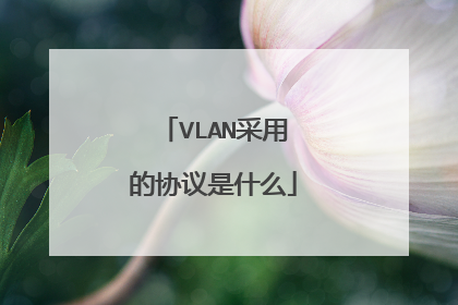 VLAN采用的协议是什么