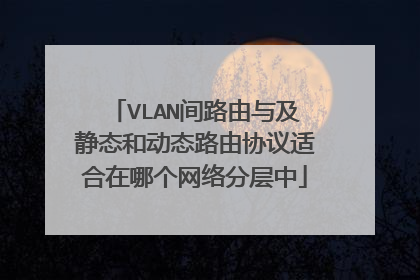 VLAN间路由与及静态和动态路由协议适合在哪个网络分层中