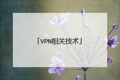 VPN相关技术