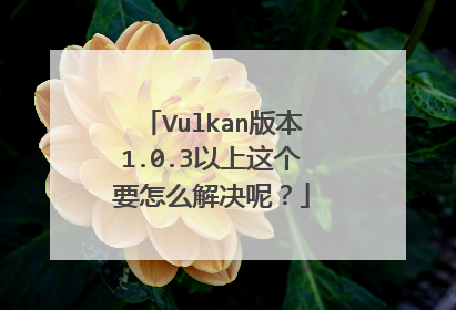 Vulkan版本1.0.3以上这个要怎么解决呢?