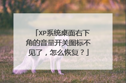 XP系统桌面右下角的音量开关图标不见了,怎么恢复?