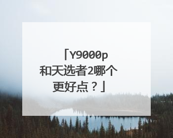 Y9000p和天选者2哪个更好点?