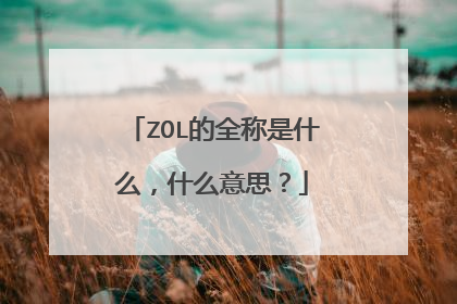 ZOL的全称是什么,什么意思?