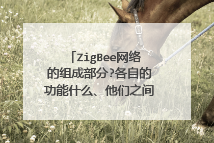 ZigBee网络的组成部分?各自的功能什么、他们之间如何配合工作？