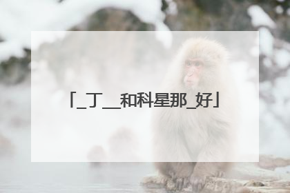 _丁__和科星那_好