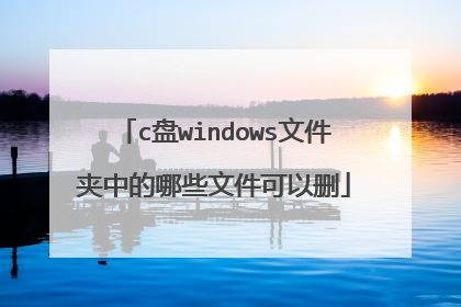 c盘windows文件夹中的哪些文件可以删
