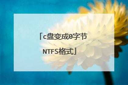 c盘变成0字节NTFS格式
