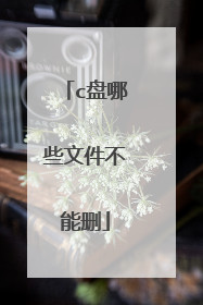 c盘哪些文件不能删