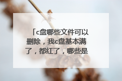 c盘哪些文件可以删除,我c盘基本满了,都红了,哪些是可以删除的