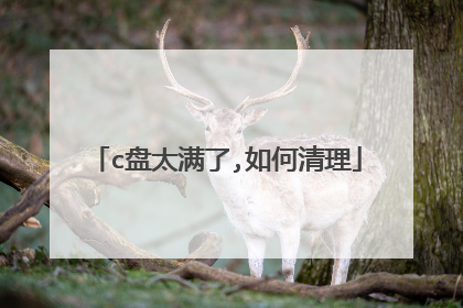 c盘太满了,如何清理