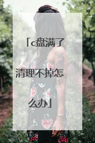 c盘满了清理不掉怎么办