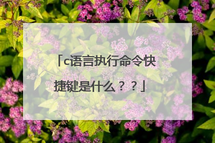 c语言执行命令快捷键是什么？？