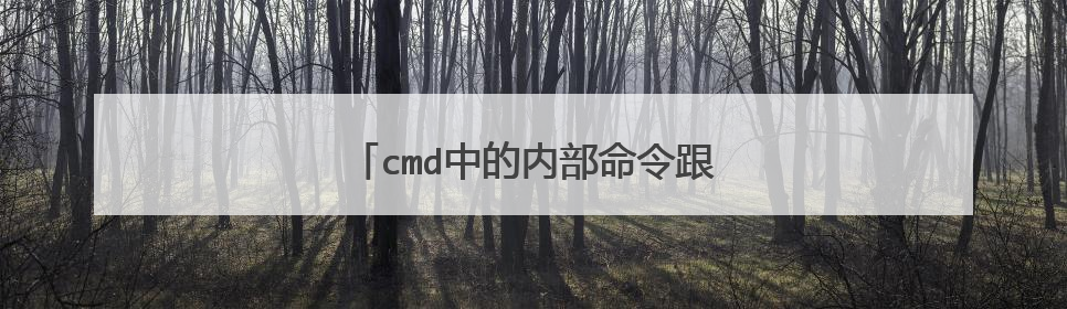 cmd中的内部命令跟外部命令有啥区别？