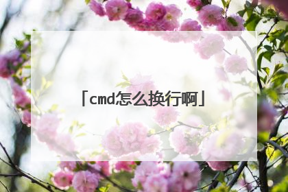 cmd怎么换行啊