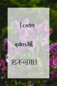 cn99qdns域名不可用
