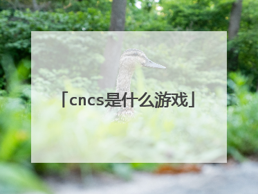 cncs是什么游戏