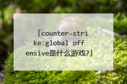 counter-strike:global offensive是什么游戏?