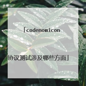 codenomicon协议测试涉及哪些方面