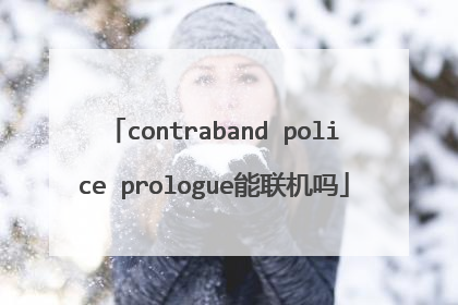 contraband police prologue能联机吗