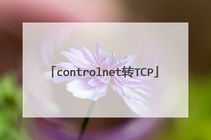 controlnet转TCP
