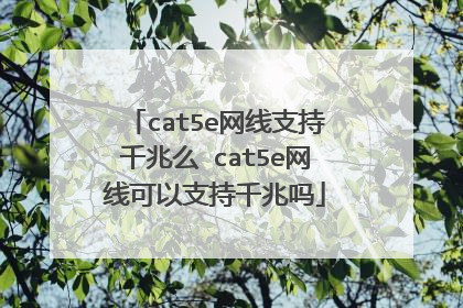cat5e网线支持千兆么 cat5e网线可以支持千兆吗