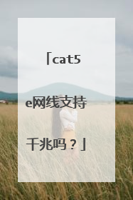 cat5e网线支持千兆吗？