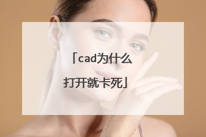 cad为什么打开就卡死
