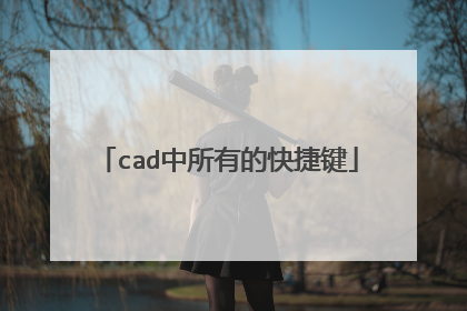 cad中所有的快捷键