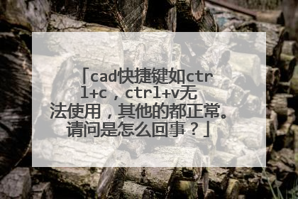 cad快捷键如ctrl+c,ctrl+v无法使用,其他的都正常。请问是怎么回事?