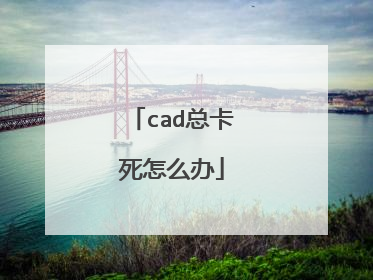 cad总卡死怎么办