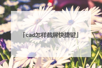 cad怎样截屏快捷键