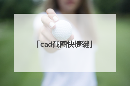 cad截图快捷键