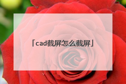 cad截屏怎么截屏