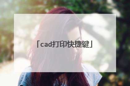 cad打印快捷键