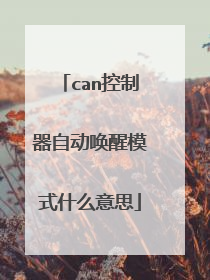 can控制器自动唤醒模式什么意思