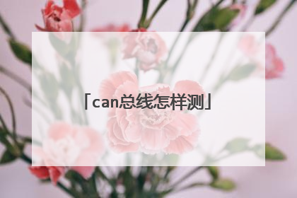 can总线怎样测